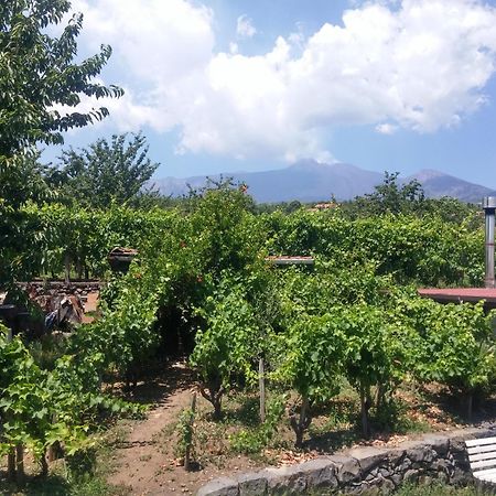 Вілла Sorbello Dell'Etna Міло Екстер'єр фото